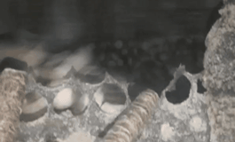 顆粒機環(huán)模